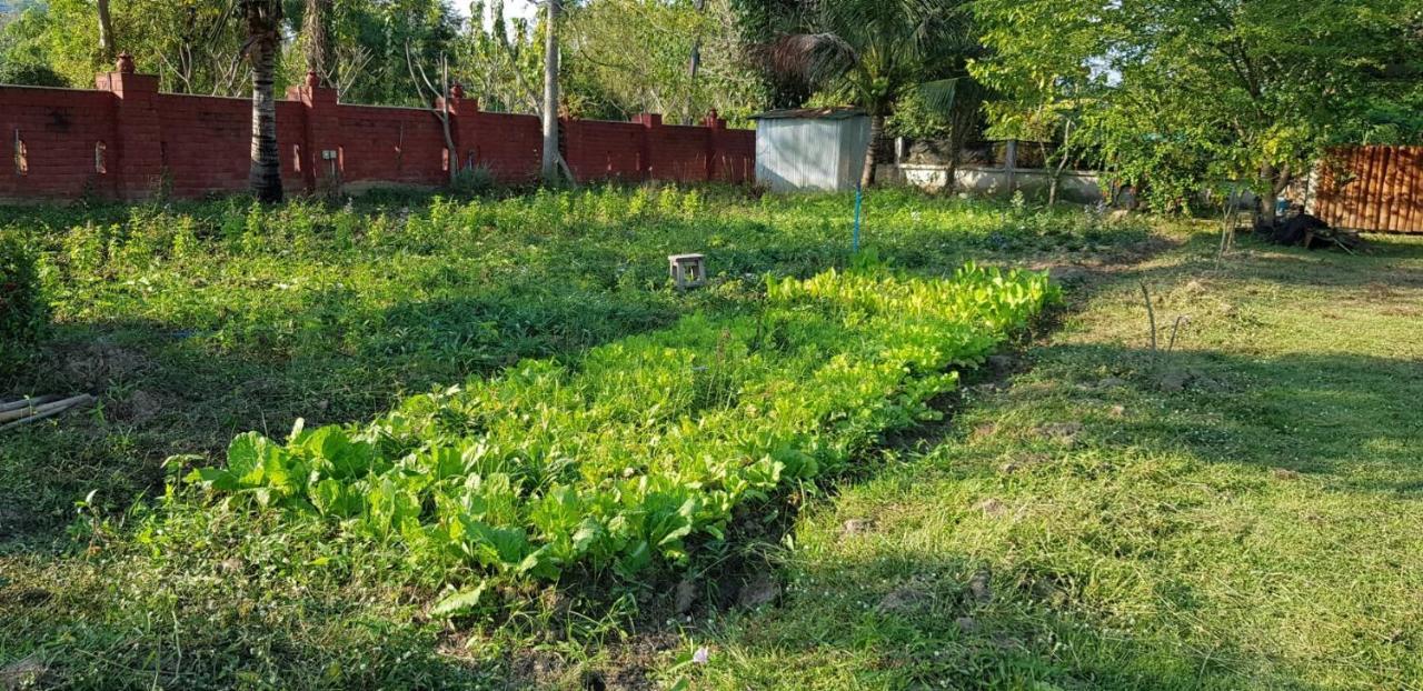 Ban Chang Klang Na Nong ap Chang Екстер'єр фото
